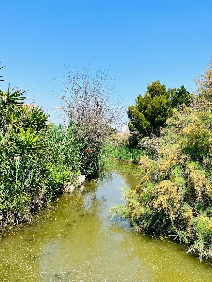 Cabane Le Flamant Avec Jardin, Piscine Et Parking แซ็งต์-มารี-เดอ-ลา-แมร์ ภายนอก รูปภาพ