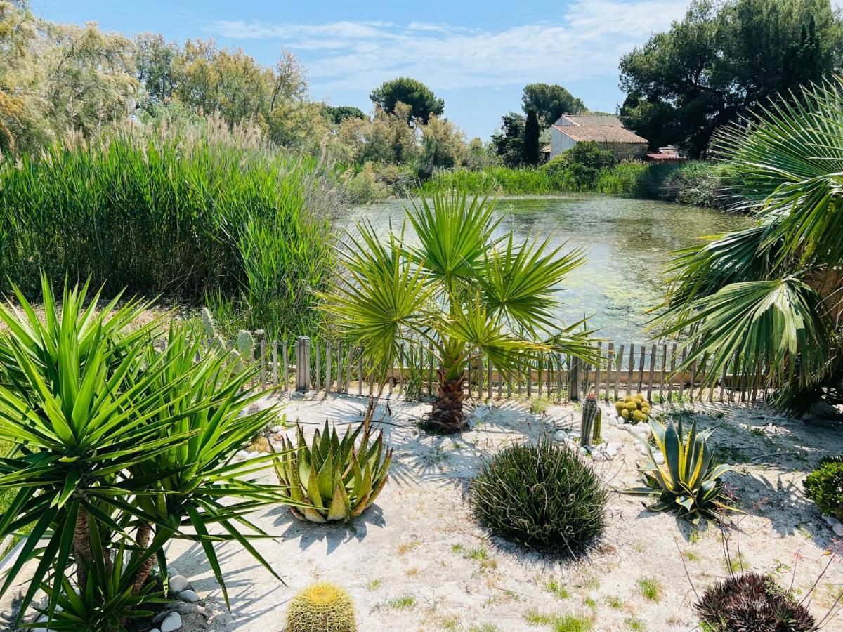 Cabane Le Flamant Avec Jardin, Piscine Et Parking แซ็งต์-มารี-เดอ-ลา-แมร์ ภายนอก รูปภาพ